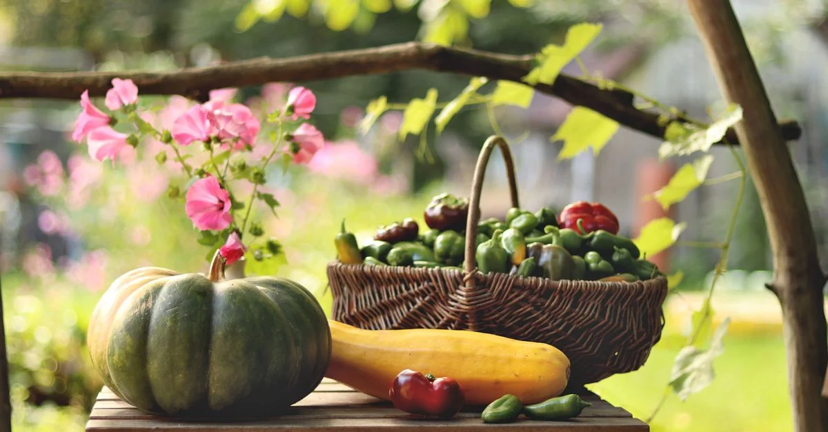Une présentation rustique de citrouilles, de courges, de poivrons et de fleurs dans un cadre de jardin.