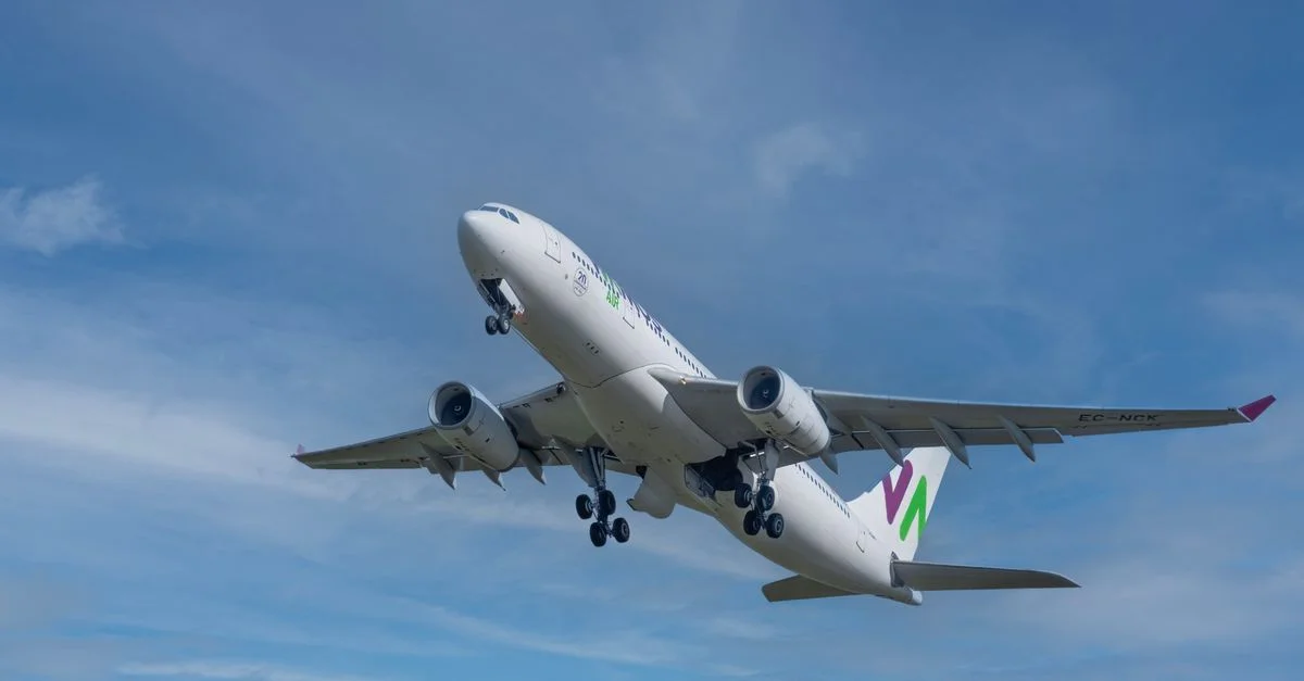 Avion s'élevant contre le ciel bleu à Auckland, Nouvelle-Zélande.